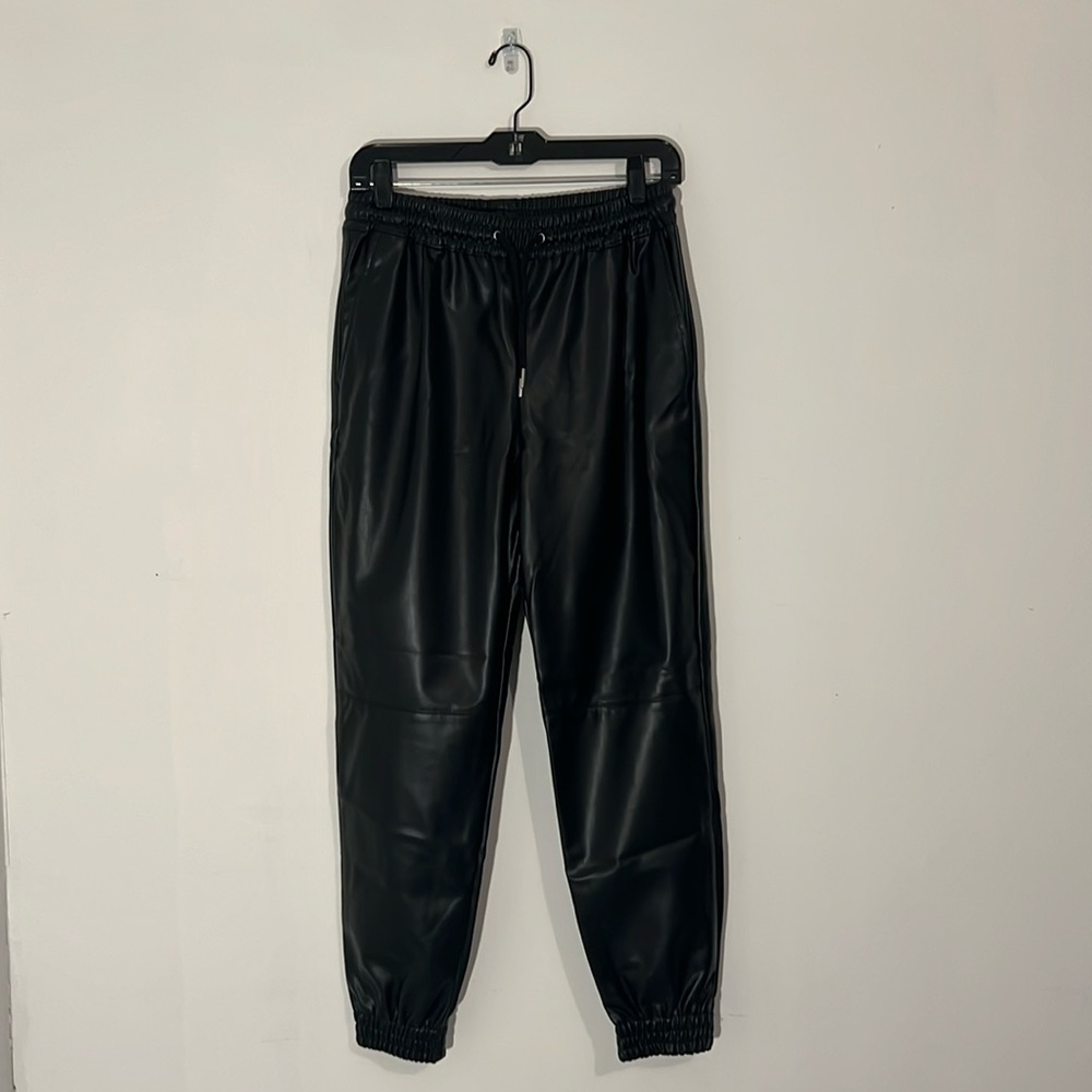 Zara Polyester Pants